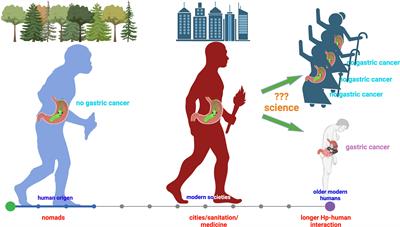 Editorial: The role of Helicobacter pylori in gastric carcinogenesis